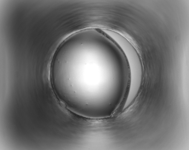 X0000088840862200706211832