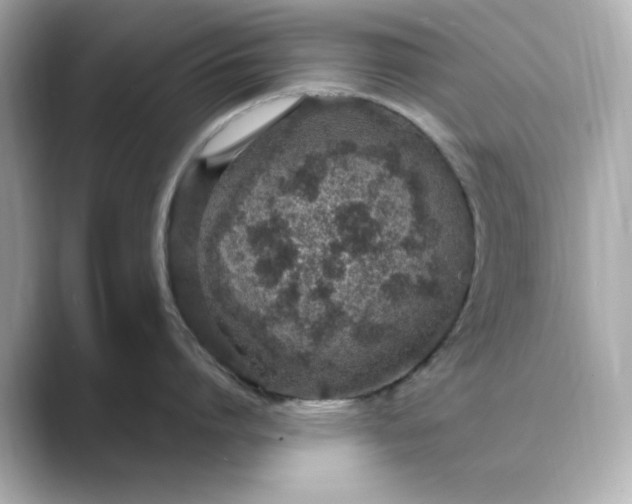 X0000088840864200706211832