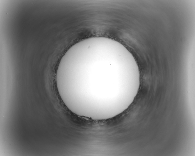 X0000088840865200706211831