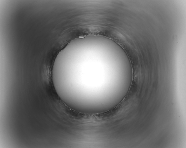 X0000088840866200706211831