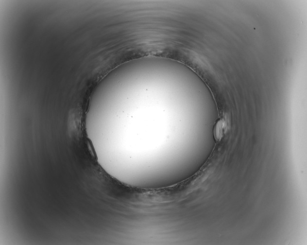 X0000088840867200706211831