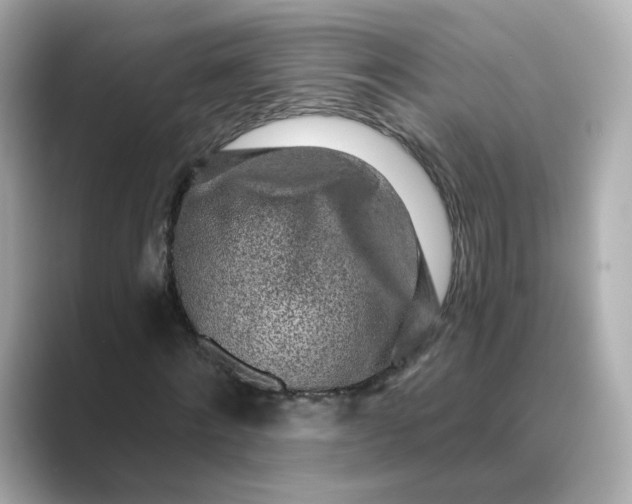 X0000088840868200706211831