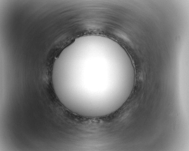 X0000088840869200706211831