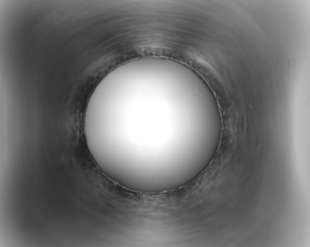 X0000088840870200706211831