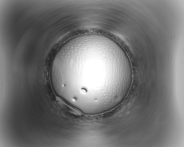 X0000088840871200706211831