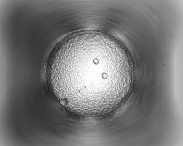 X0000088840875200706211831