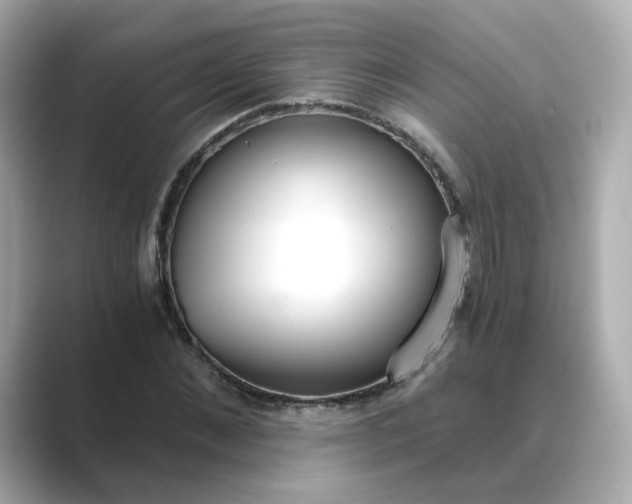 X0000088840876200706211831