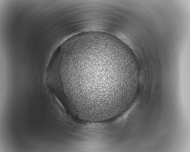 X0000088840877200706211831