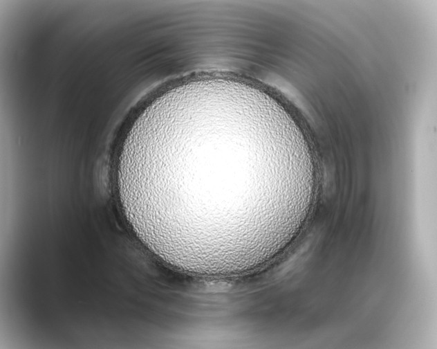 X0000088840878200706211831