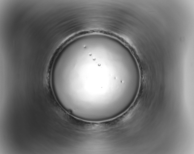 X0000088840879200706211831