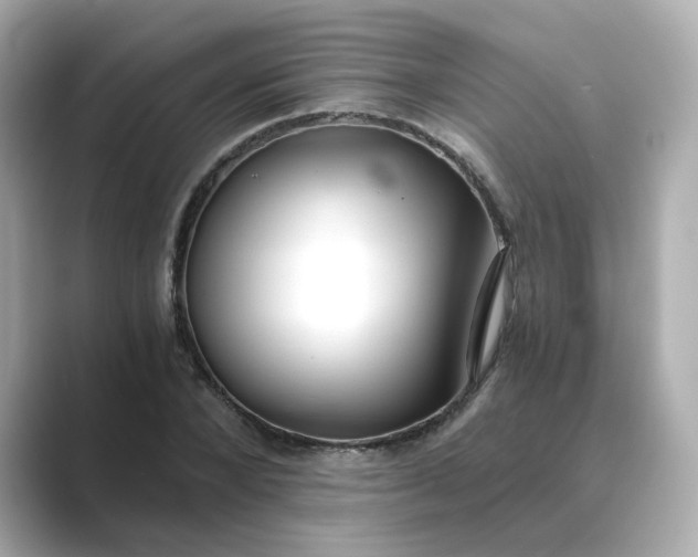 X0000088840880200706211831