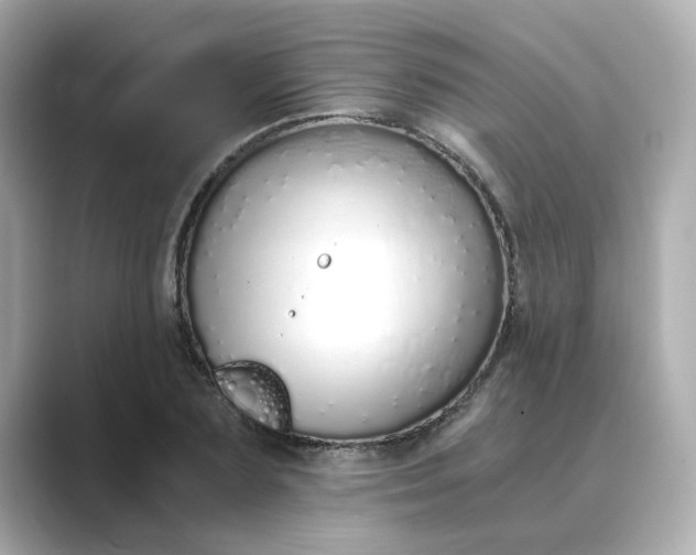 X0000088840883200706211831