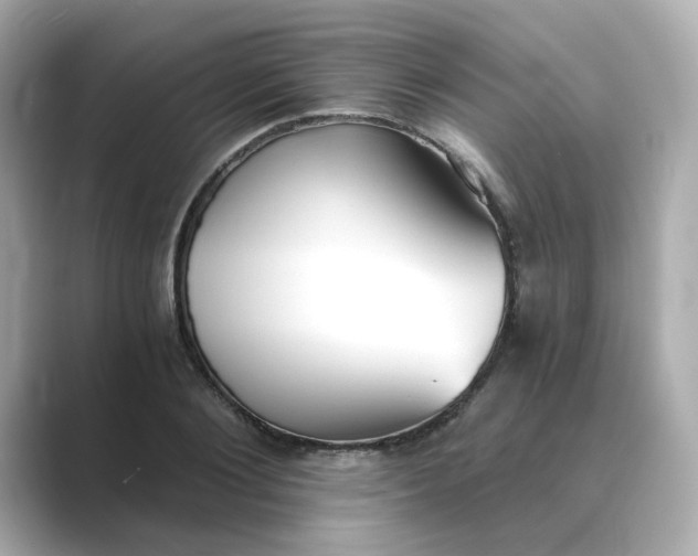 X0000088840884200706211831