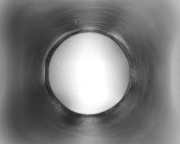 X0000088840886200706211831