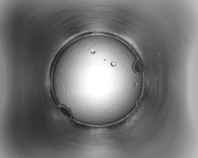 X0000088840887200706211831