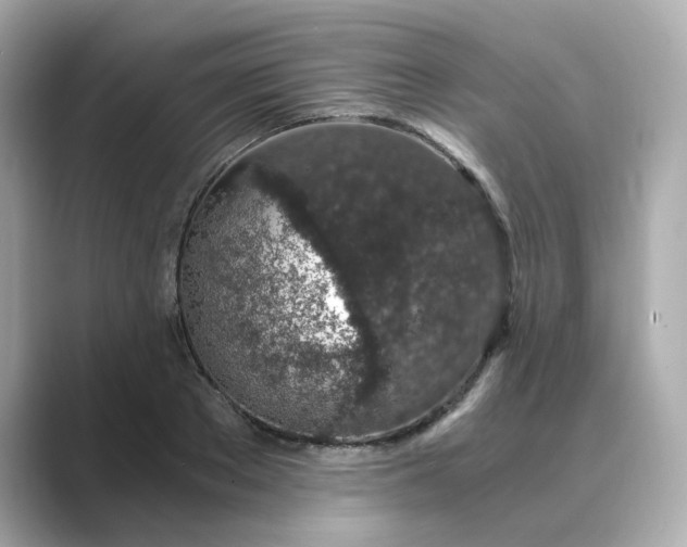 X0000088840889200706211831