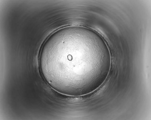 X0000088840891200706211831