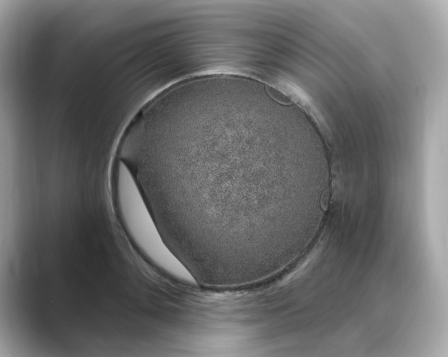 X0000088840892200706211831