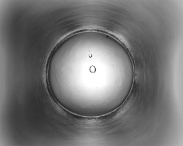 X0000088840895200706211831