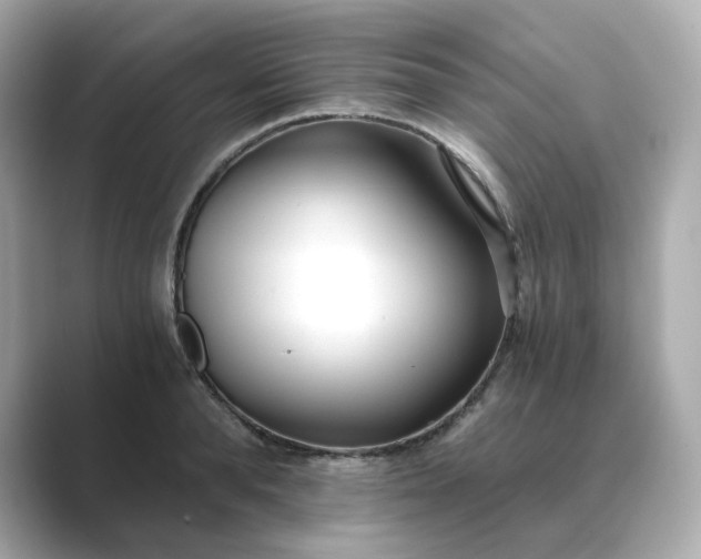 X0000088840896200706211831