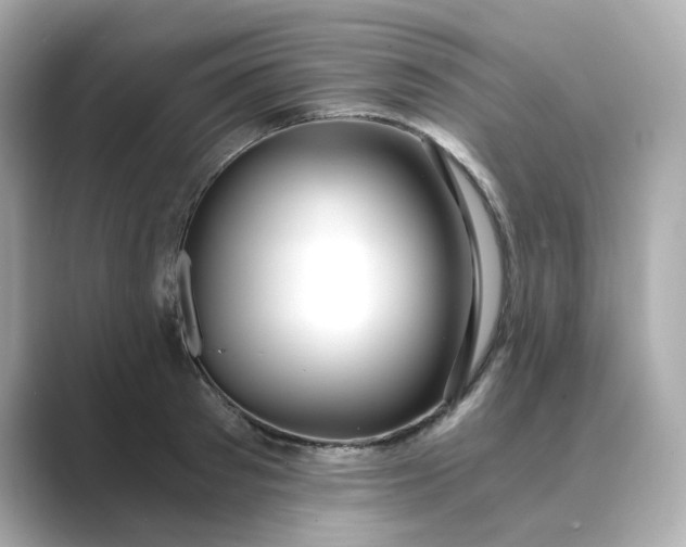 X0000088840897200706211831