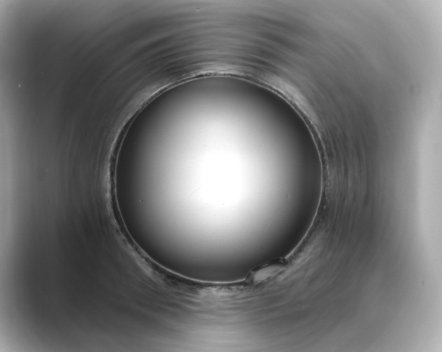 X0000088840898200706211831