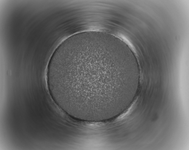 X0000088840899200706211831