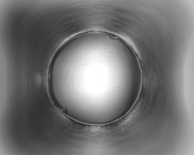 X0000088840903200706211831