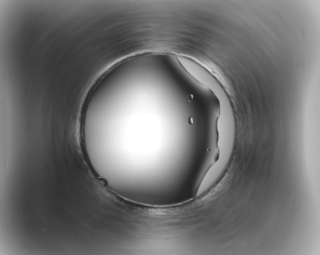 X0000088840904200706211831