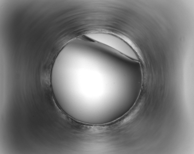 X0000088840905200706211831