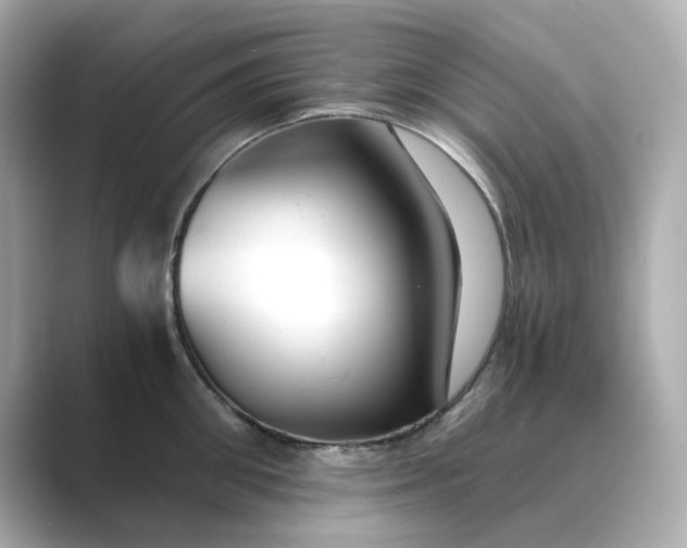 X0000088840906200706211831