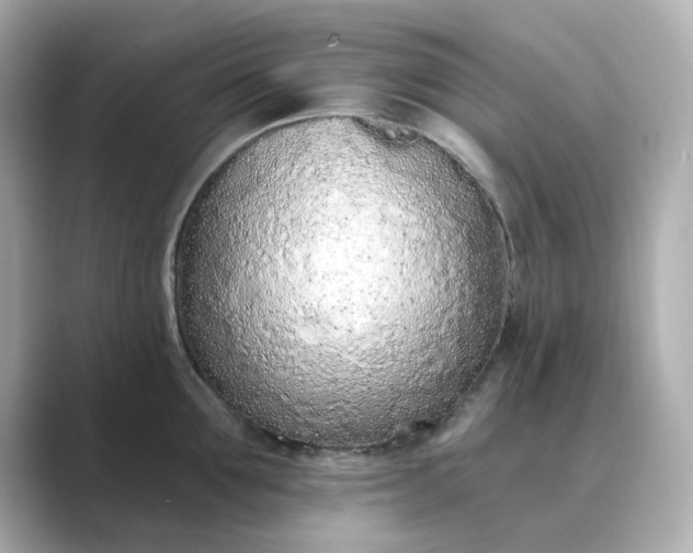 X0000088840907200706211831