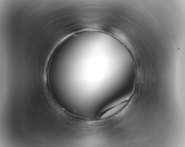 X0000088840908200706211831