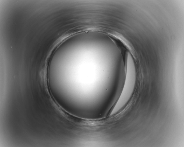 X0000088840910200706211831