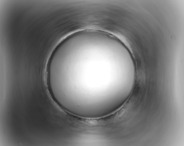 X0000088840911200706211831