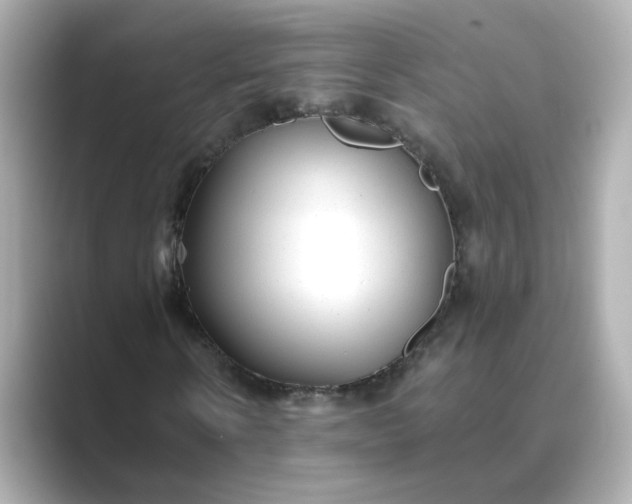 X0000088840914200706211830