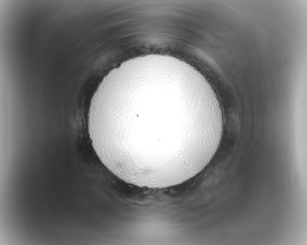 X0000088840918200706211830