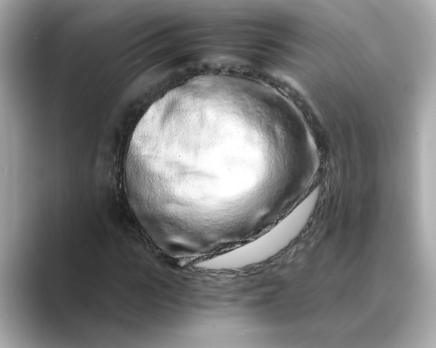 X0000088840919200706211830