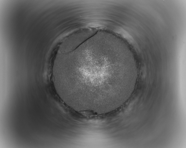 X0000088840920200706211830