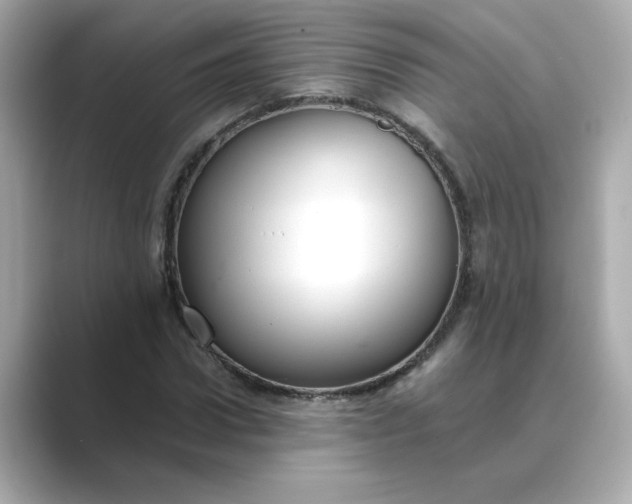 X0000088840922200706211830