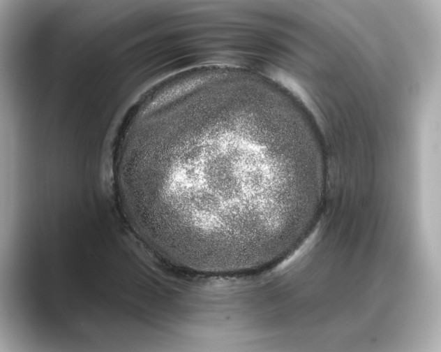 X0000088840923200706211830