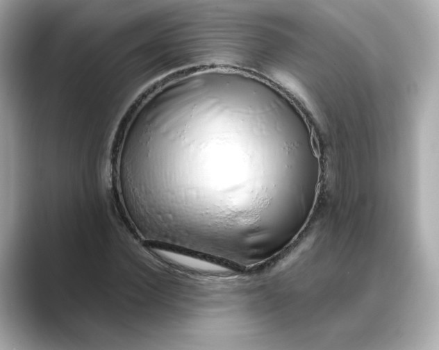 X0000088840924200706211830