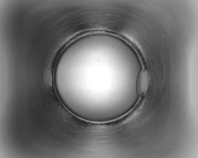 X0000088840925200706211830