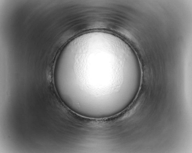 X0000088840929200706211830