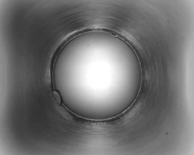 X0000088840934200706211830