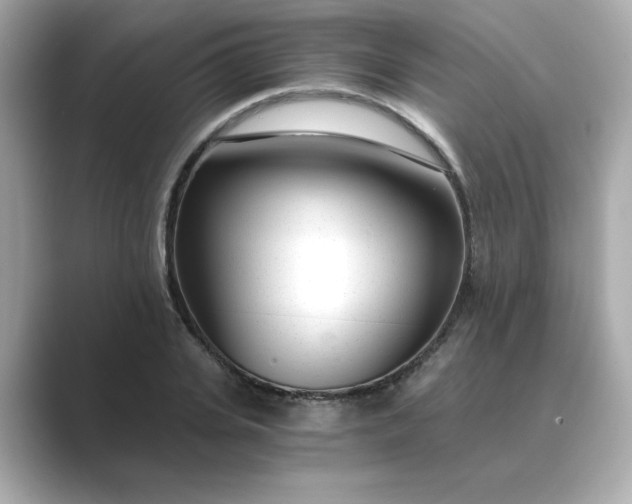 X0000088840935200706211830