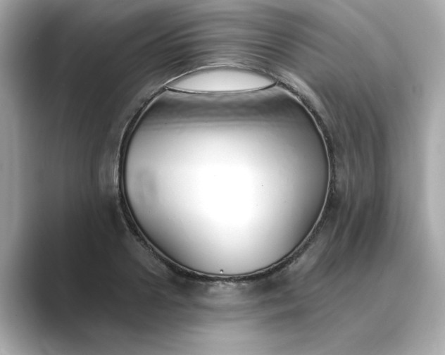 X0000088840938200706211830