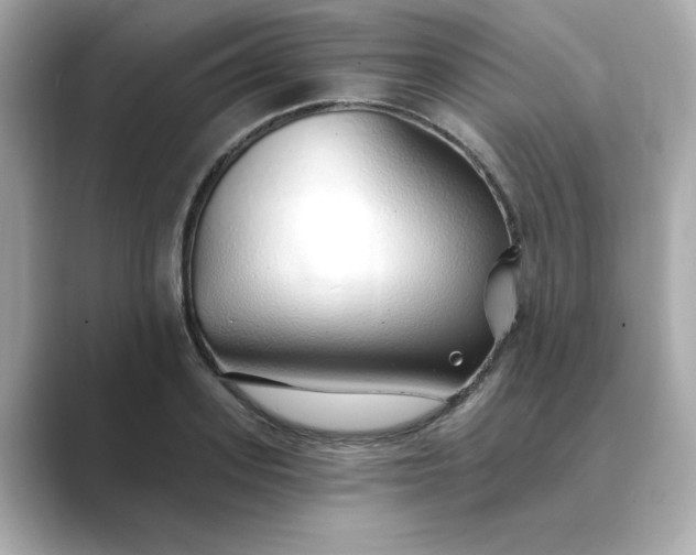 X0000088840939200706211830