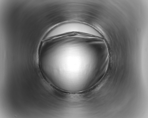 X0000088840940200706211830