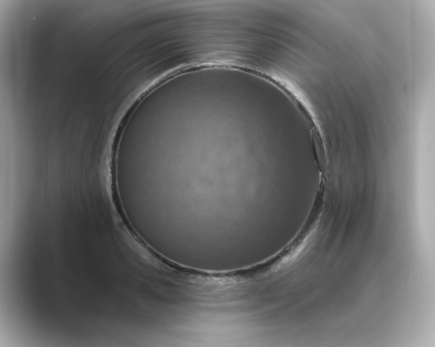 X0000088840941200706211830